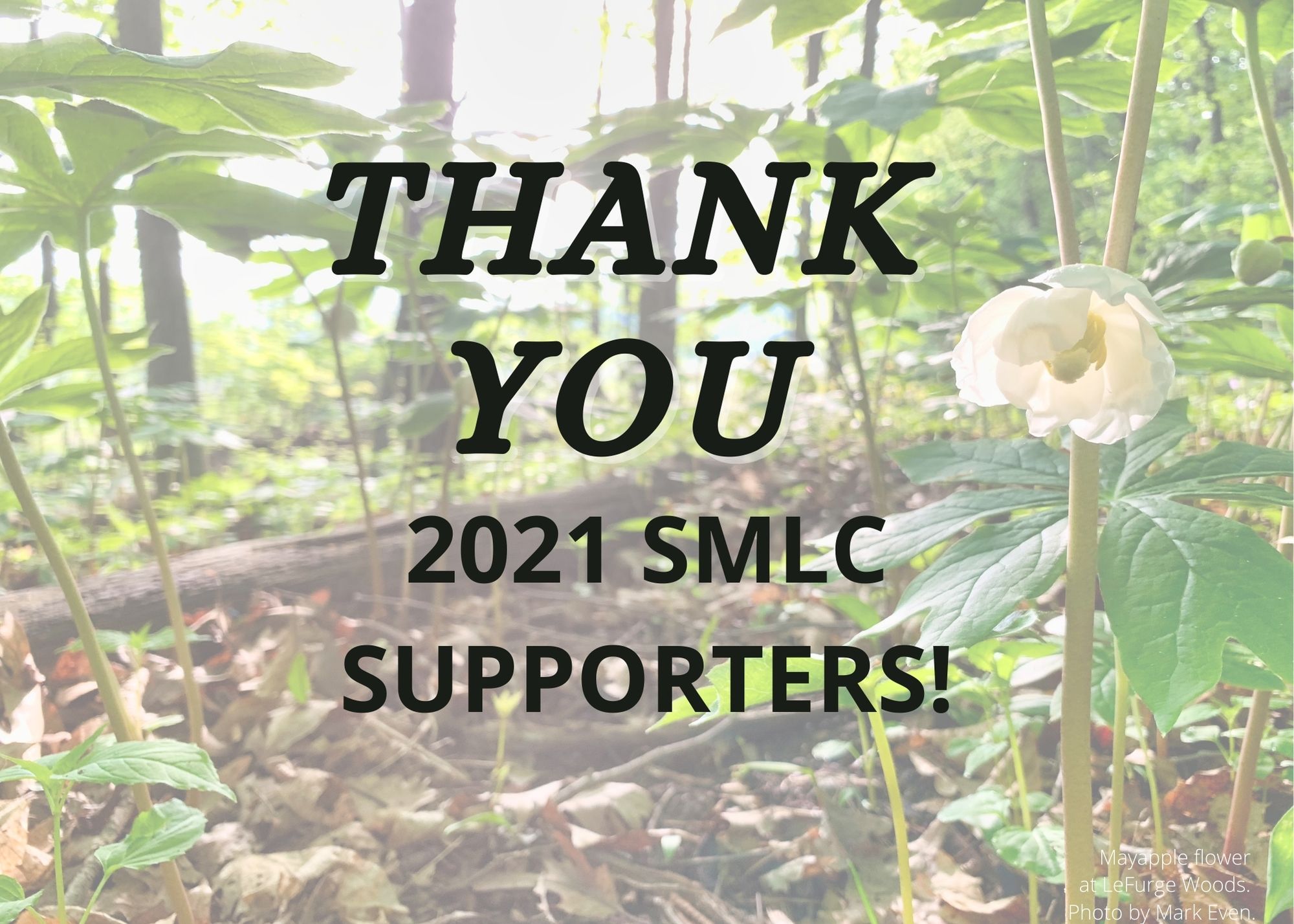 Thank you to all of our supporters in 2021!